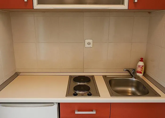 Futoska Centar アパート ノヴィ・サド